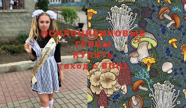 марки lsd Михайловск