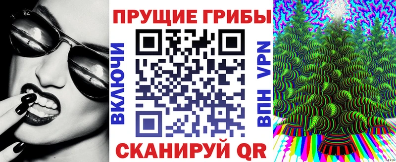 где найти наркотики  сайты даркнета как зайти  Псилоцибиновые грибы мухоморы  Поронайск 